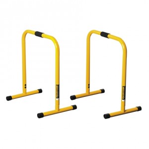 lebert_equalizer_dip_bars