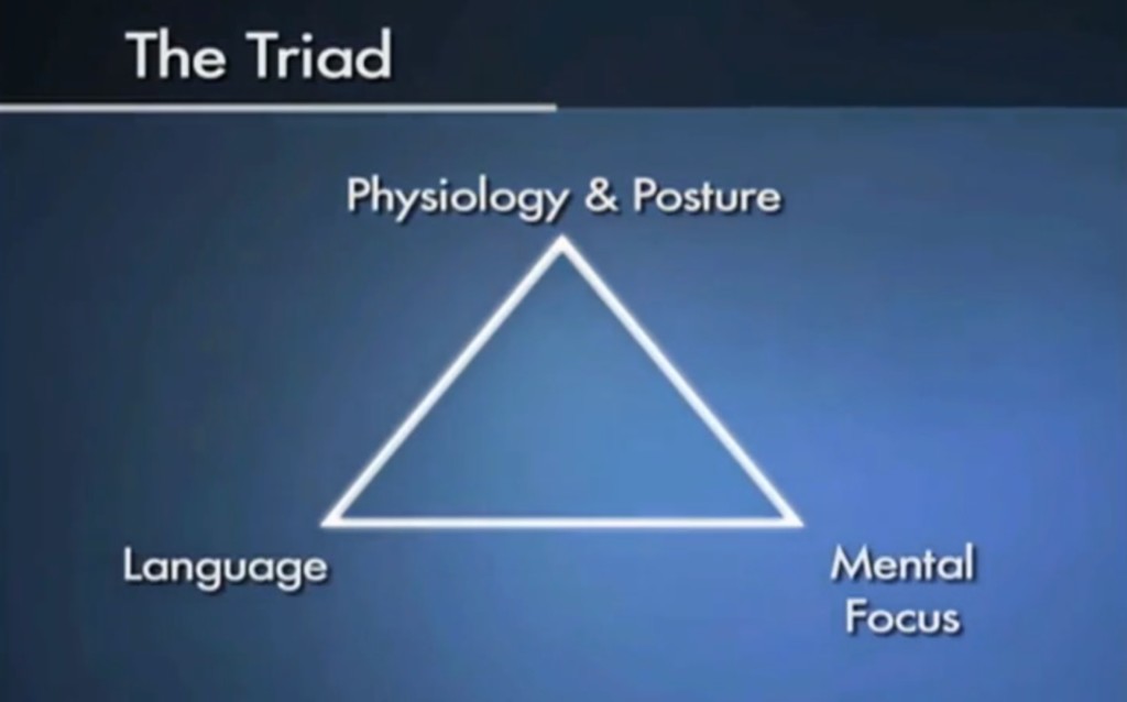 tony-robbins-human-psychology-triad